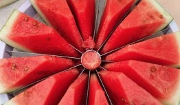 今日吃瓜--今日大赛,吃瓜群众狂欢盛宴